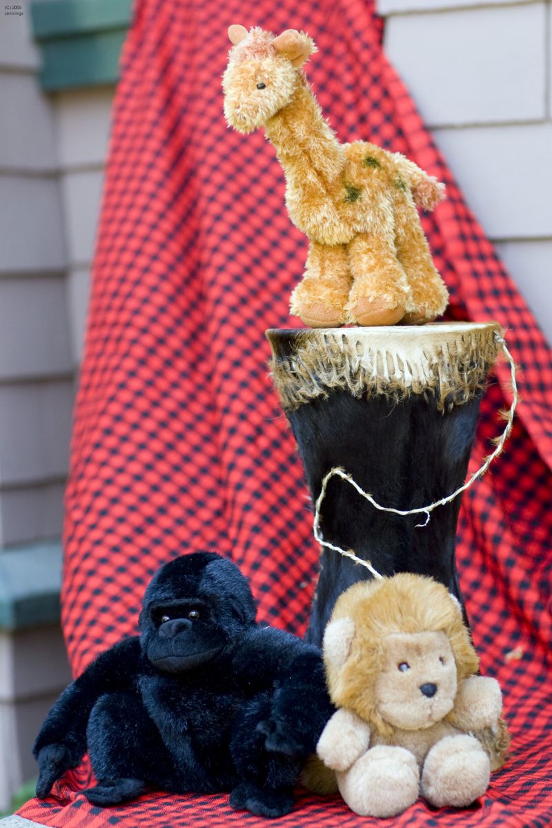 African-Stilllife-7Oct2009