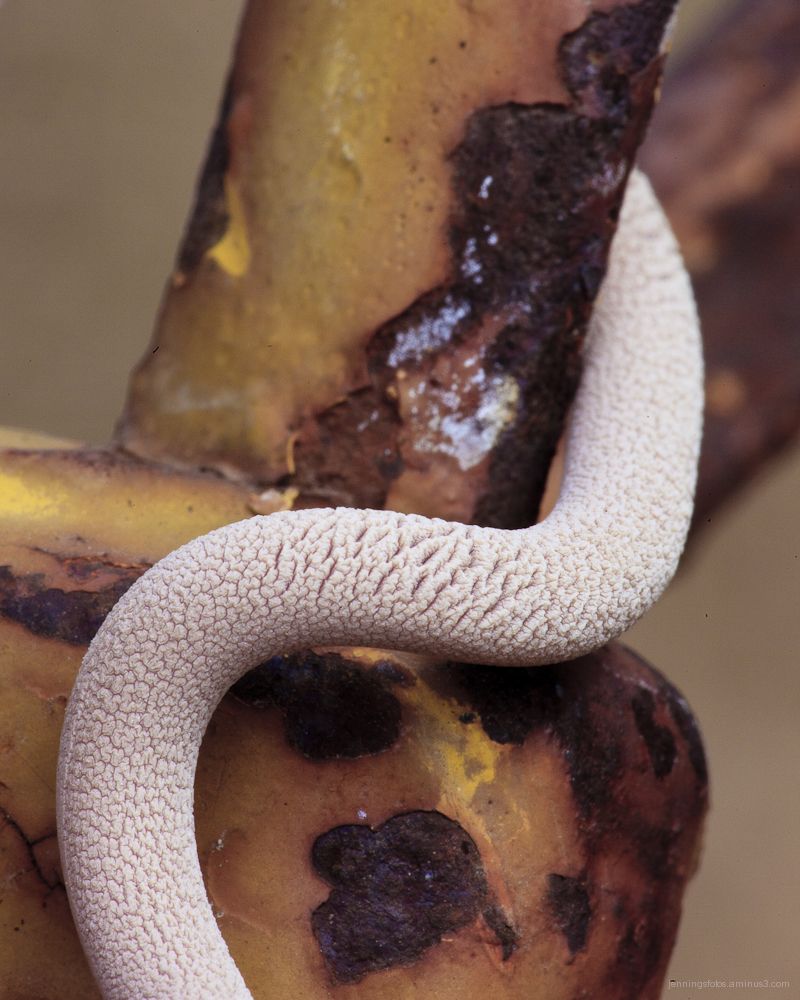 Aging-Wire-on-Rusted-Fixture-23Aug2010