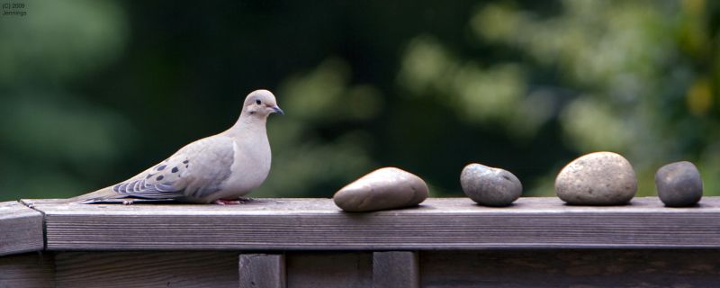 And-then-there-were-five