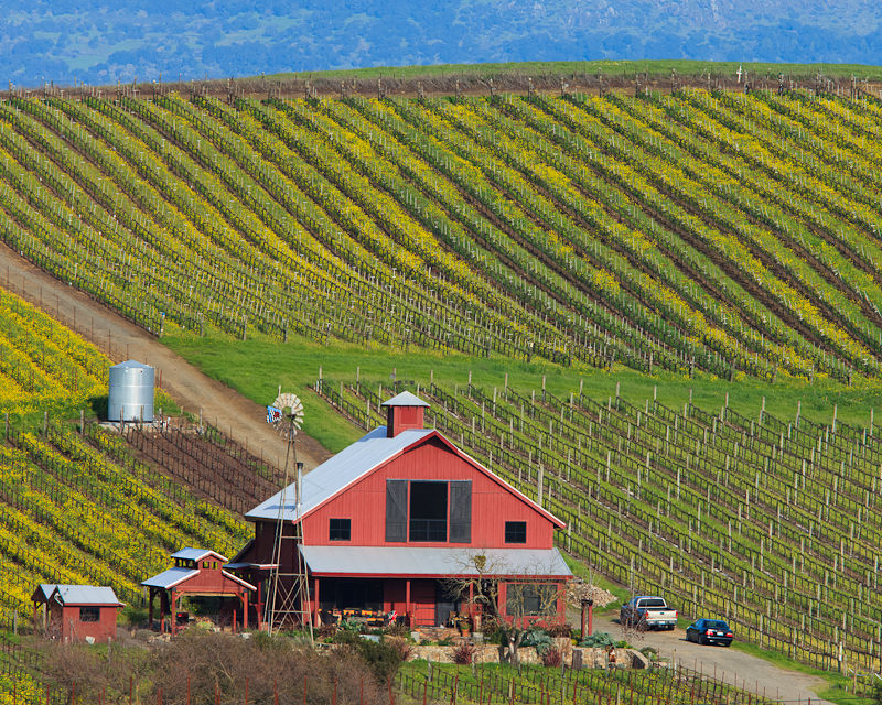 Carneros-Lifestyle-18Feb2010