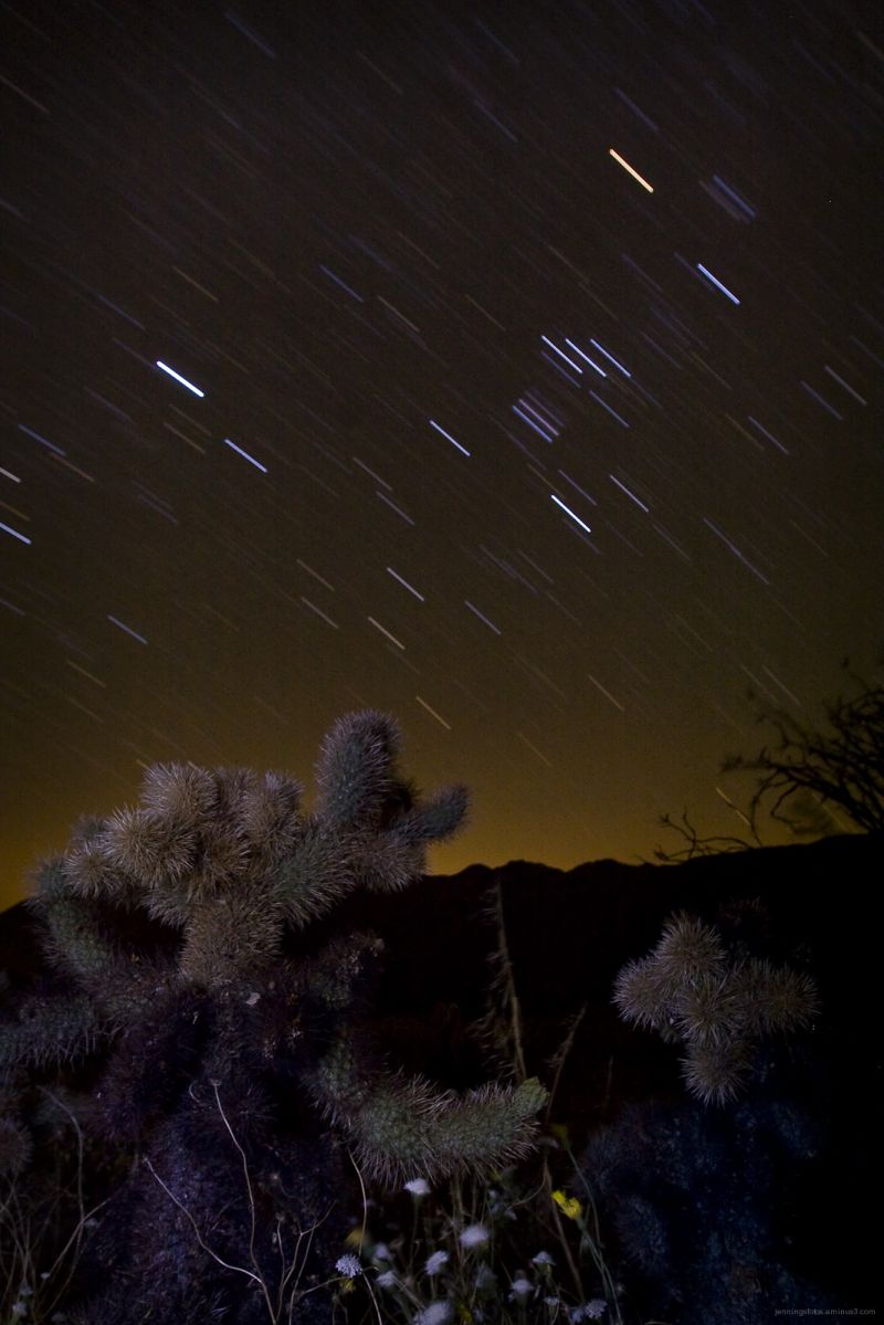 Desert-Star-Trails-Anza-Borrego-Park-30Jul2009