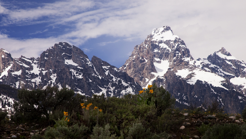Grand-Tetons-in-Spring