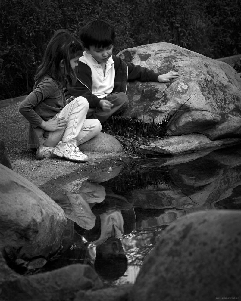 Hakone-Reflections-1Aug2009