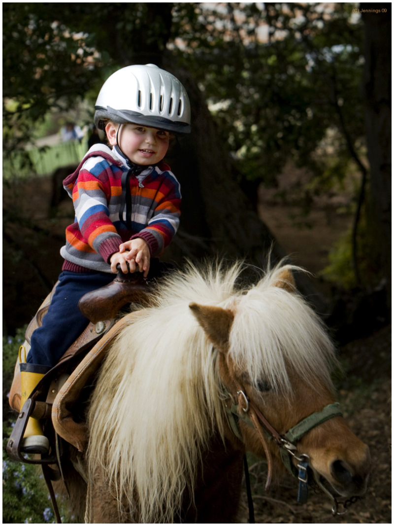 Henry-rides-Solo-on-Pumpkin