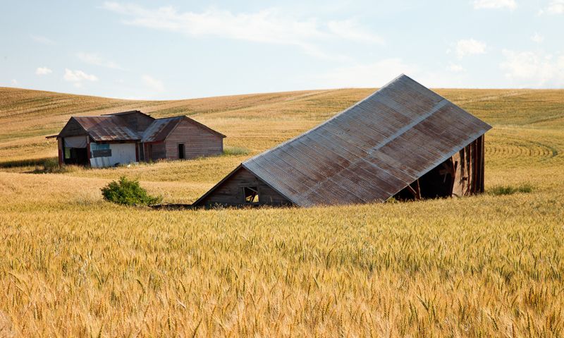 It-takes-time-for-things-to-sink-in-1Aug2010