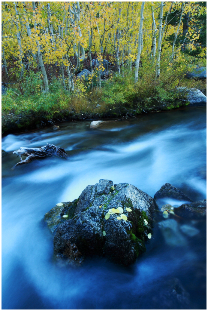 Milky-Waters-18Apr2009