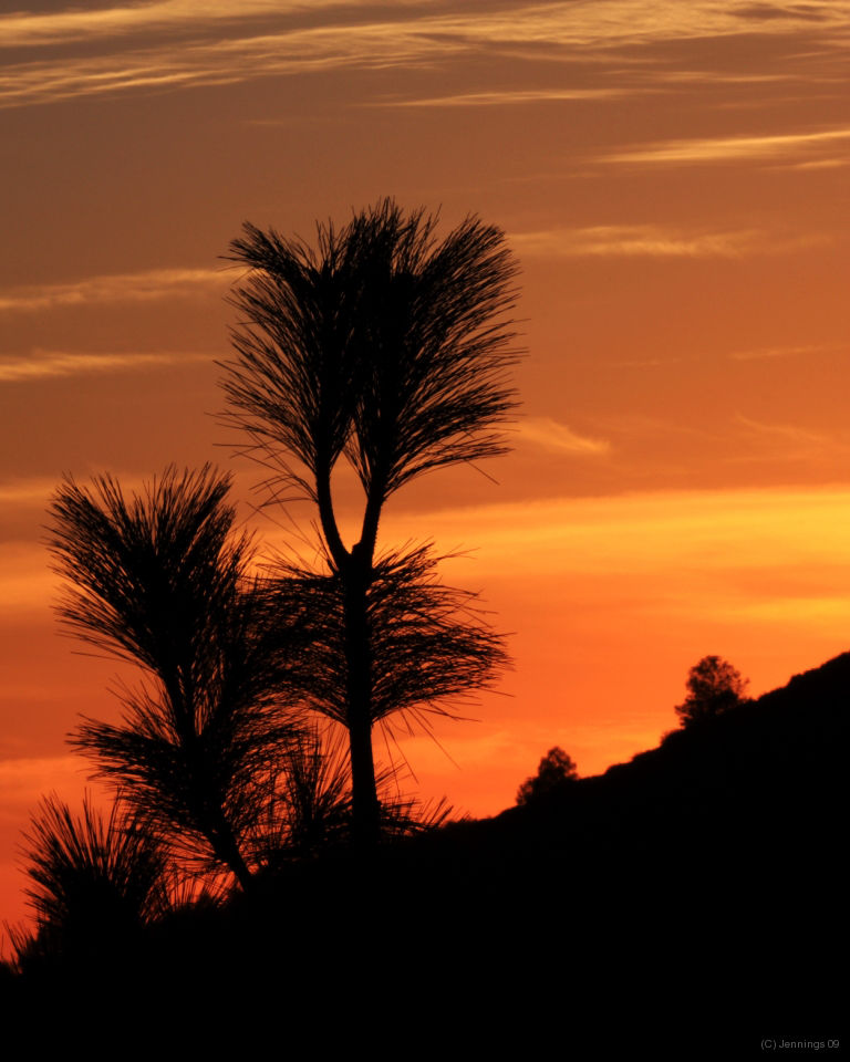 Old-Priest-Grade-Sunset-16Aug2009