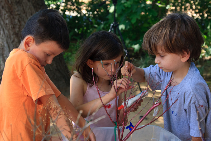 Riveropolis-Trees-for-LAHM-display-30Sep2011