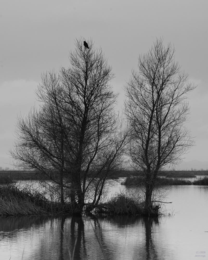 Sac-Wildlife-Preserve-Jan2010