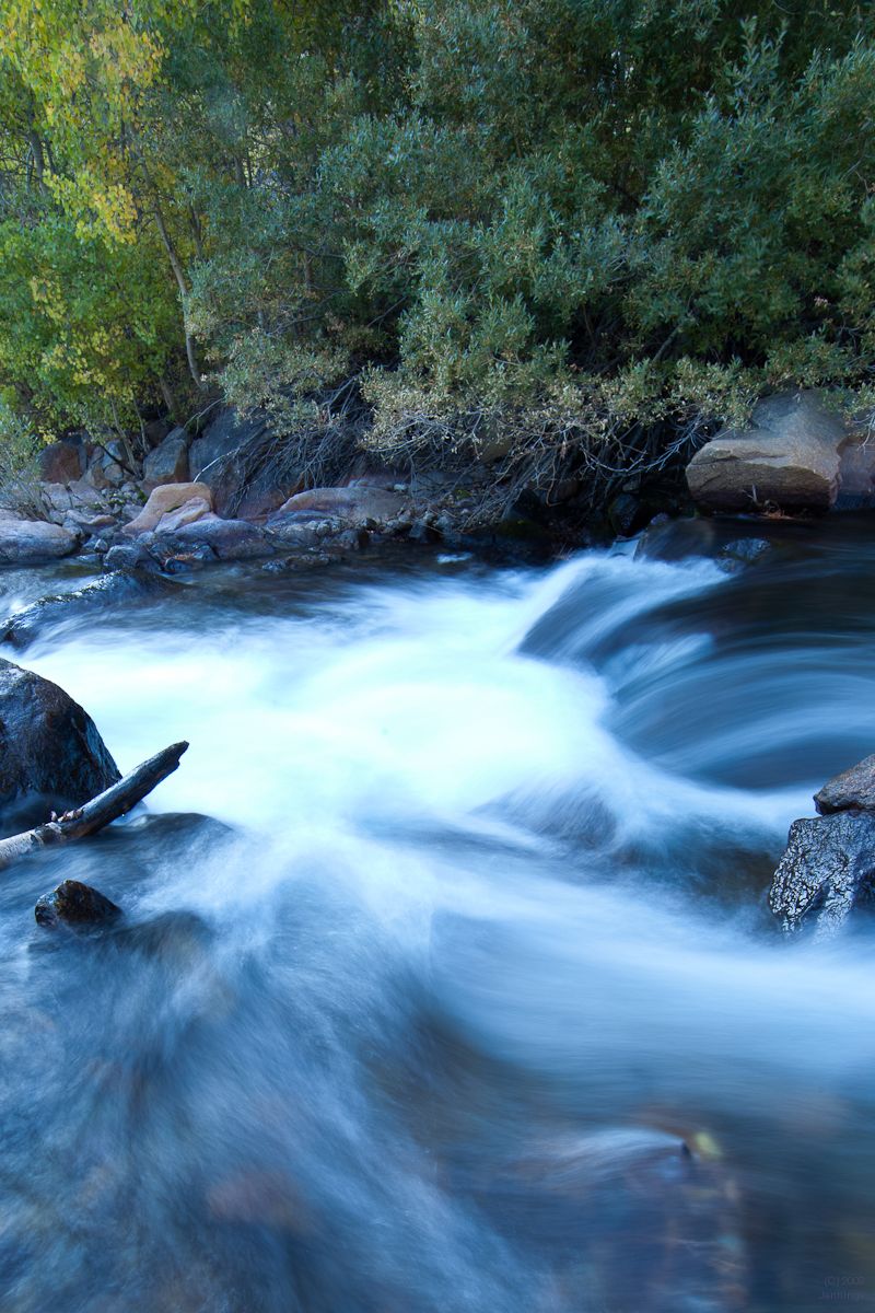 Sierra-Waters-14Jan2010