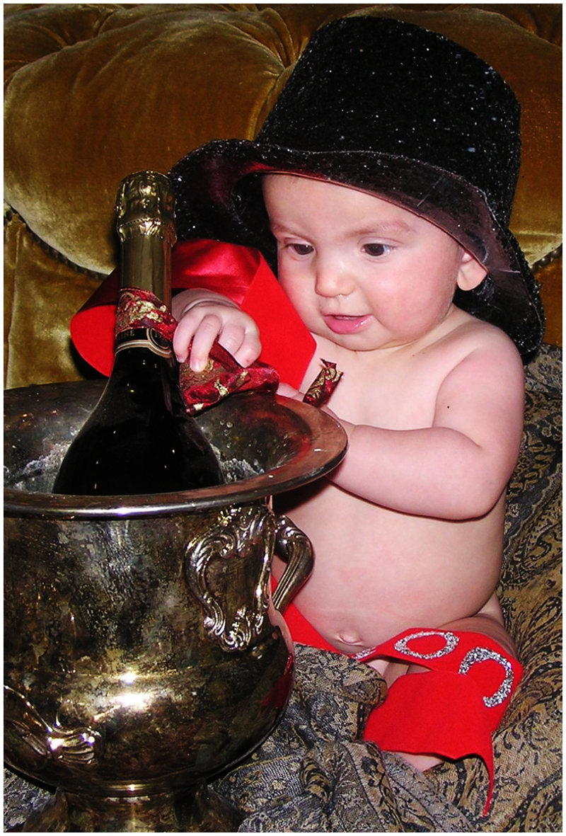 Toto-is-Baby-New-Years