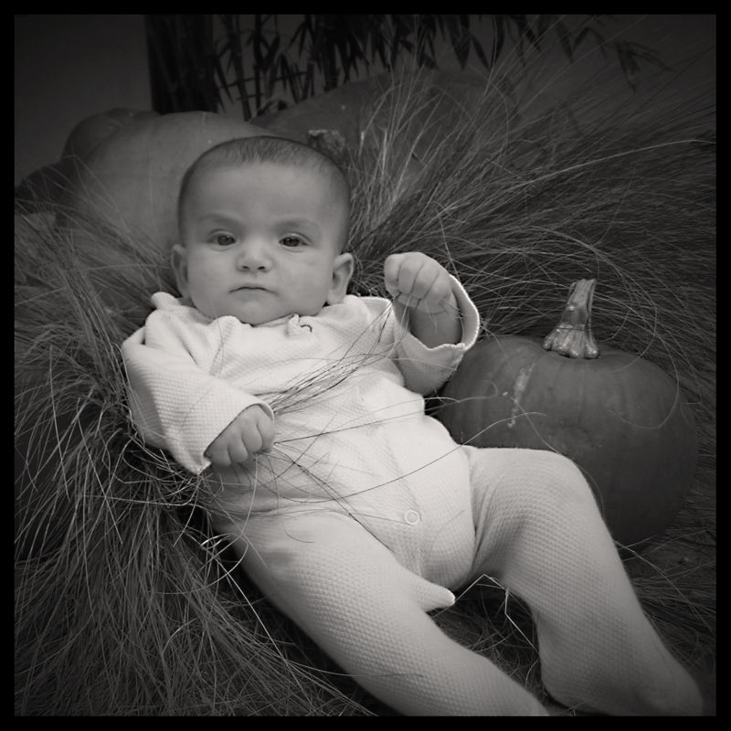 Wills-first-October-9Sep2009