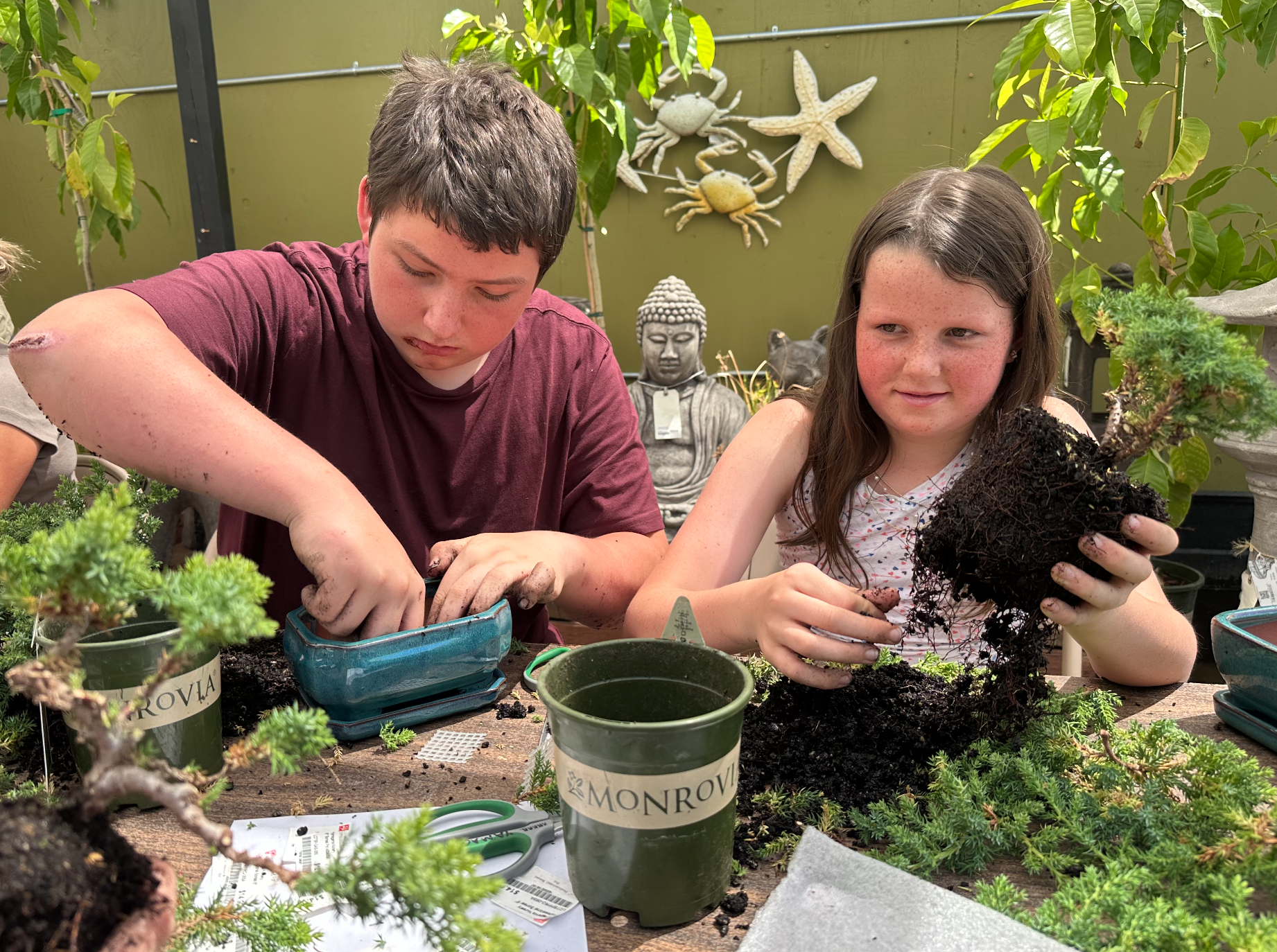 Mark and Ellie · learning bonsai together
