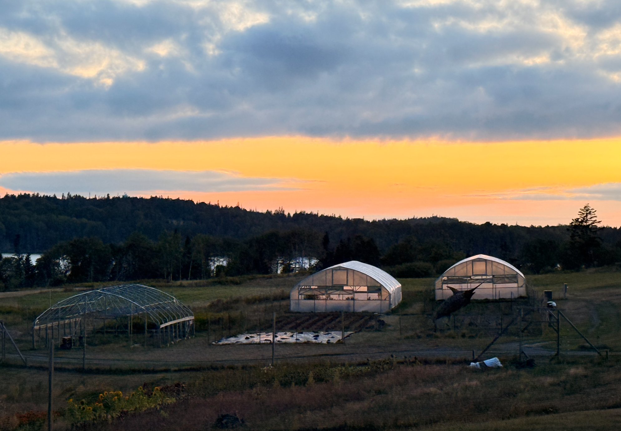 Sunset over Turner Farm fields toward Penobscot Bay